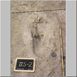 11-px84b-10-21 dodm.jpg